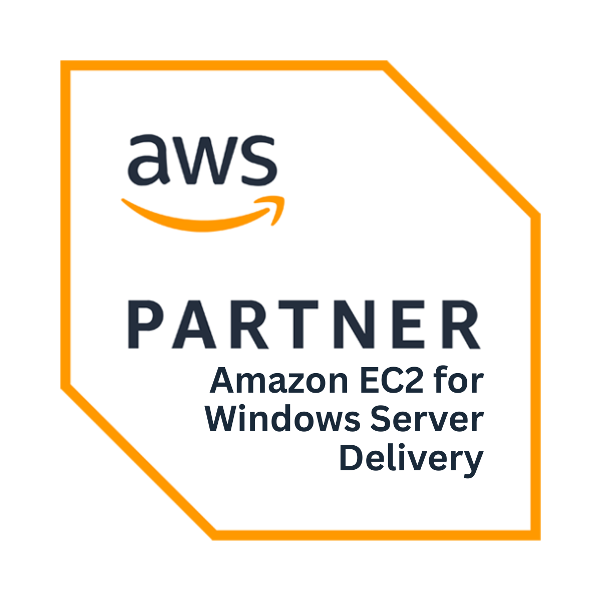 This image is an aws partner certification for aws amazon ec2 for windows server delivery.
